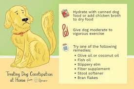 Dogs And Constipation