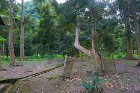 Posted by unknown at 07:21. Travelogue Perlis Wajib Ke Tempat Ini Jika Ke Perlis