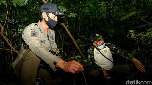 Setiap polhut mendapatkan keahlian kehutanan dan kepolisian melalui pendidikan dan pelatihan dari sekolah polri yang difasilitasi oleh kementerian lingkungan hidup dan kehutanan. Qhep6nbzprtpgm