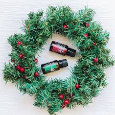 What An Amazing Duo Holiday Joy Brings The Traditional Holiday Scents Of Wild Orange Nutmeg Pine Cassia Holiday Scents Holiday Holiday Traditions