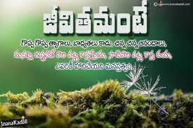 Heart Touching Telugu Life Quotes Daily Life Changing Motivational Words Sms Messages In Telugu Life Quotes Buddha Motivational Quotes Good Life Quotes