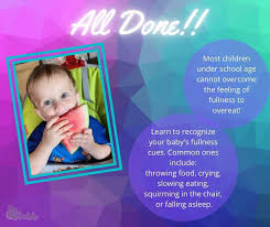 Baby led weaning book description : Baby Led Weaning For Beginners And Beyond Home Facebook