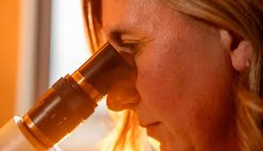 University of Iowa Roy J. and Lucille A. Carver College of  Medicine员工、地点、校友| 领英