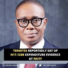 Termites reportedly eat up N17.128b expenditure evidence at NSITF . . The  Senate Public Accounts Committee (SPAC) has put the current and past  management of the Nigeria Social Insurance Trust Fund (NSITF)