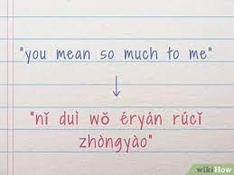 For more information, including an overview of proper pronunciation and to get started using this lovely phrase yourself, watch this free video language lesson. 3 Ways To Say I Love You In Chinese Wikihow