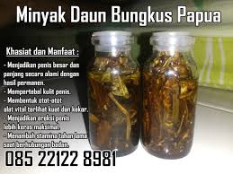 Hasil gambar untuk daun bungkus karawang