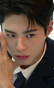 Please you all should stop saying this #ParkBoGum