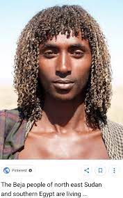 Are the afar people descended from ancient egyptians? What Hair Texture Did Ancient Egyptians Have Quora