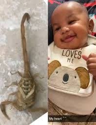 Your advice please 🙏