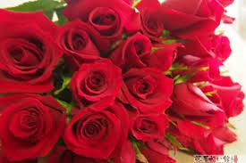 A 60th birthday is, without a doubt, one of the big ones. What Is The Best Flower For The 60th Birthday Celebration Appropriate Flowers And Timing For Gifts 60th Birthday Celebration Hall