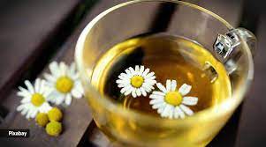 Did You Know About These Five Hidden Benefits Of Chamomile Tea Lifestyle News The Indian Express