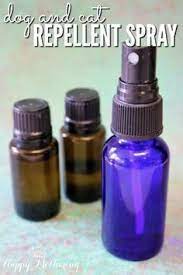 How To Use Essential Oils For Pets Cat Repellant Dog Spray Essential Oils Dogs