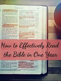 The one year bible daily audio readings consist of passages from the old testament, new testament, psalms, and proverbs. 10 Spiritual Growth Ideas Spiritual Growth Listen To The Bible Daily Audio Bible