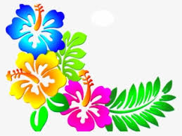 Floral festive side border pattern with copy space. Flowers Clipart Corner Corner Flower Border Designs Png Png Image Transparent Png Free Download On Seekpng