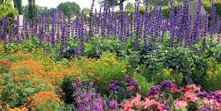 Once your flower garden is complete, sit back and enjoy its beauty for months or sketch out your plans for your garden. How To Start A Flower Garden 3 Steps For Beginners Garden Design
