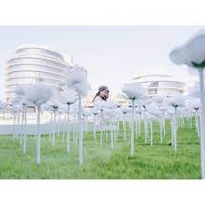 ᴀɴᴛ on instagram 將一個個普通的日子集結成冊是多不普通的好事 台中軟體園區dali art藝術廣場台中市大里區科技路1號3f taiwan 台中 大里 玫瑰花