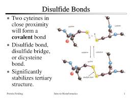 Molecules | Free Full-Text | The Potential Of A Protein Model Synthesized  Absent Of Methionine