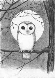 Harvest Moon Pencil Drawings Owls Drawing Cute Owl Drawing Cute Drawings