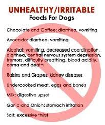 Recommended Food For Dogs What Is Good For You May Not Always Be Good For Your Dog Cats That Dont Shed Dog Food Recipes Dog Nutrition