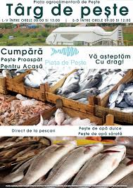 Racheta poate fi vazuta in cursul zilei de duminica, 27 iunie, in piata ovidiu din constanta. Targul De PeÈte Va Fi Deschis Zilnic PrimÄria NÄvodari