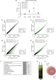 Tuesday, 23 march 2021, 04:00 tokyo time, tuesday, 23 march 2021, 00:30 new delhi time. Polycomb Group Protein Pcgf6 Acts As A Master Regulator To Maintain Embryonic Stem Cell Identity Scientific Reports