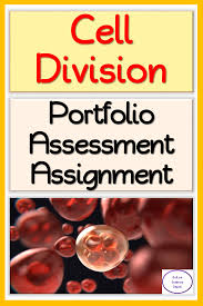 Cell Division Portfolio Assessment Assignment High School Science Activities Critical Thinking Activities Teaching Critical Thinking