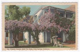 2.25 m x length 2,15 m. Wisteria Pergola The Oasis Hotel Palm Springs California Linen Postcard United States California Palm Springs Postcard Hippostcard