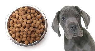 Best Food For A Great Dane Puppy Help Him Grow Big And Strong