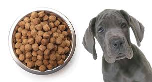 best food for a great dane puppy help him grow big and strong