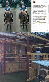 Homepage / loker tegal / lowongan kerja istana kado salisa tegal. Temani Anak Naik Kuda Poni Ratusan Juta Rupiah Nagita Skak Mat Haters Soal Julukan Gentong
