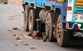 Image result for truck driver shortage  problem in india