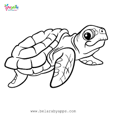 Country living editors select each product featured. Free Printable Sea Animals Toddler Coloring Page Belarabyapps