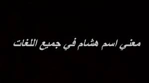 اسم هشام في اللغة العربية شرح ومعني هشام في المعجم احلى كلام