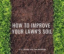 Garden furniture can even be erected from pallets, with many tutorials on youtube showing you how to make a pallet sofa structure. How To Improve Your Lawn S Soil Wild Horse Turf