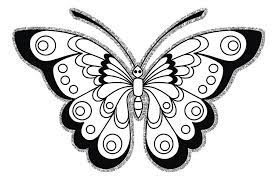 Sketsa gambar kupu kupu terbaik. 347 Gambar Sketsa Kupu Kupu Yang Indah Dan Cara Menggambarnya Hd Lengkap Pensil Aisyah