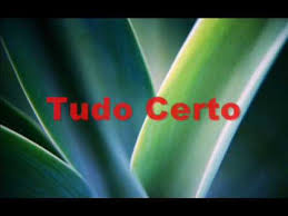 Tudo Certo Gabriel Pensador Youtube