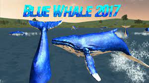 Please contact this domain's administrator as their dns made easy services have expired. Blue Whale For Android Apk Download
