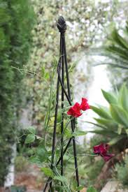 Siguiendo las formas se ven cabezas trofeos que van desarrollndose y terminan en la planta de la mandioca creciendo. Soportes Para Plantas Y Tutores De Hierro Para El Jardin Guia De Jardin