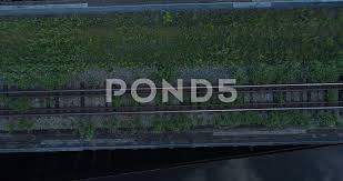 Bird S Eye Zoom Out Of Old Train Tracks Over River Stock Footage Zoom Train Bird Eye Old Train Train Tracks Birds Eye
