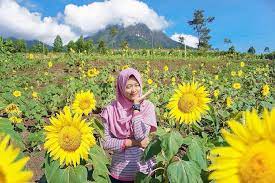 Tak heran banyak traveller yang ingin mencari cara untuk dapat menikmati viewnya. Wisata Peternakan Kuda Megastar Jalibar Batu