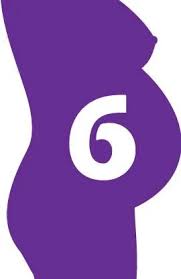 Maybe you would like to learn more about one of these? 6 Ssw Und Das Ziehen Im Unterleib