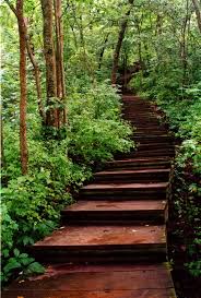 The Wooded Path Garden Pathway Garden In The Woods Garden Stairs