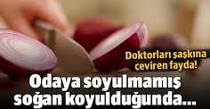 Oturma Odasina Sogan Koyunca Alternative Medicine Natural Magic Health