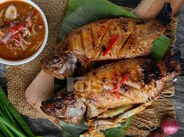 Sharing masak memasak 212.928 views1 year ago. Resipi Masakan Ikan Memang Tak Jemu Makan Boleh Buat Untuk Menu Harian Sekeluarga