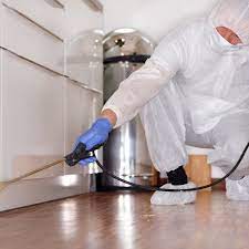 Memphis termite home inspection | foundation pest control need a termite inspection in memphis, tn? The Best Pest Control In Philadelphia Pa 2021 This Old House