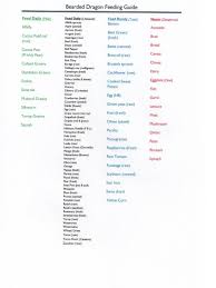 bearded dragon food chart reptile forums bearded dragon