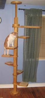 This Has Been Our Best Kitty Purchase Ever Tiger Can Climb High Even With His Arthritis Fancy Cats Cat Climber Cat Habitat