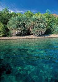 Datça haberleri hürriyet yerel haberler sayfasında. Doga Ve Sehirler Projesi