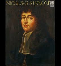 Image result for Stenostelma