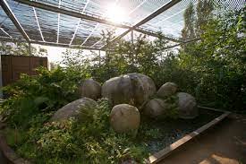 Things to do near the paul dupuy museum. Presentation Des Jardins Du Museum A Borderouge Museum